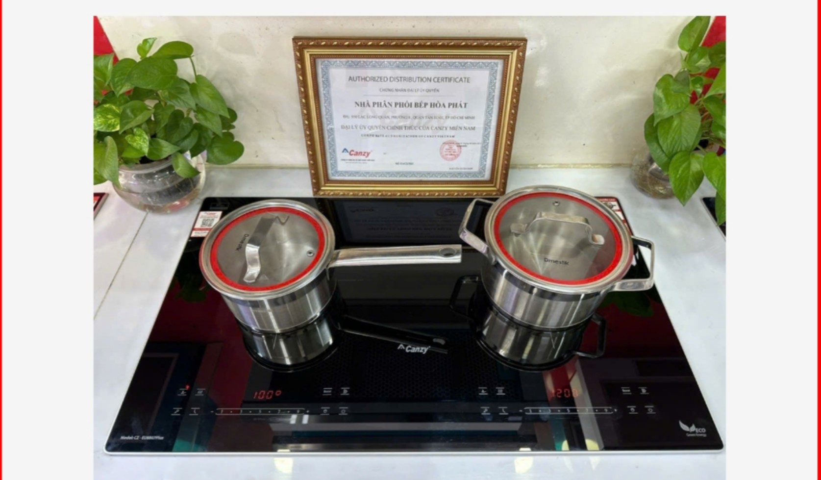 Bếp từ Canzy CZ - EU8807 Pro (New 2025)