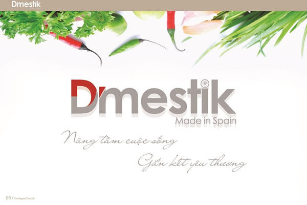 Bếp từ Dmestik TL 922DKI